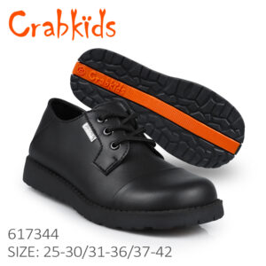 617344 Modern School Shoes