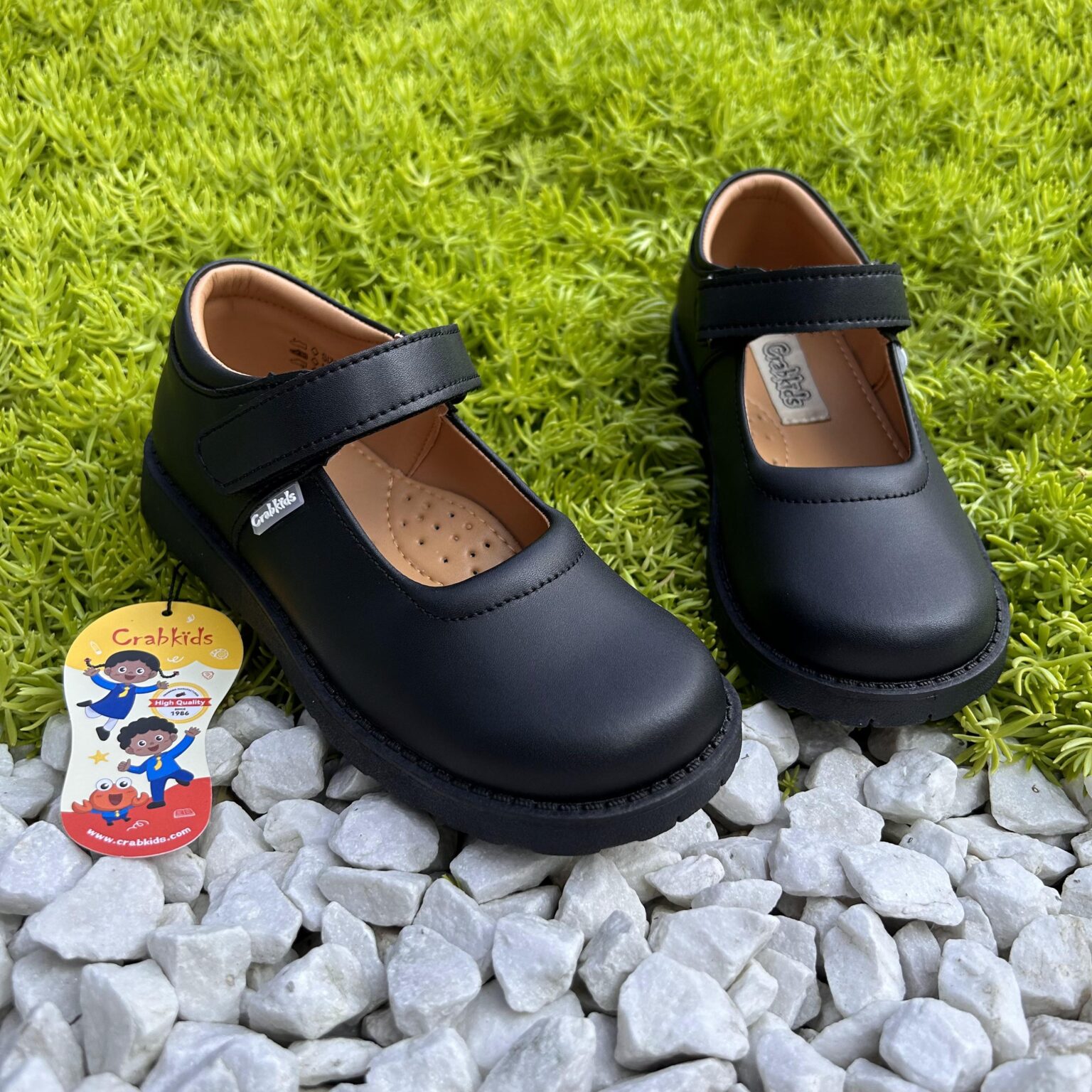 617417 School Shoes Children And Adults – Crabkids